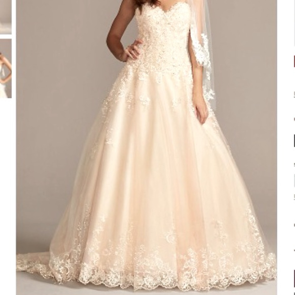 David’s Bridal Wedding Dress